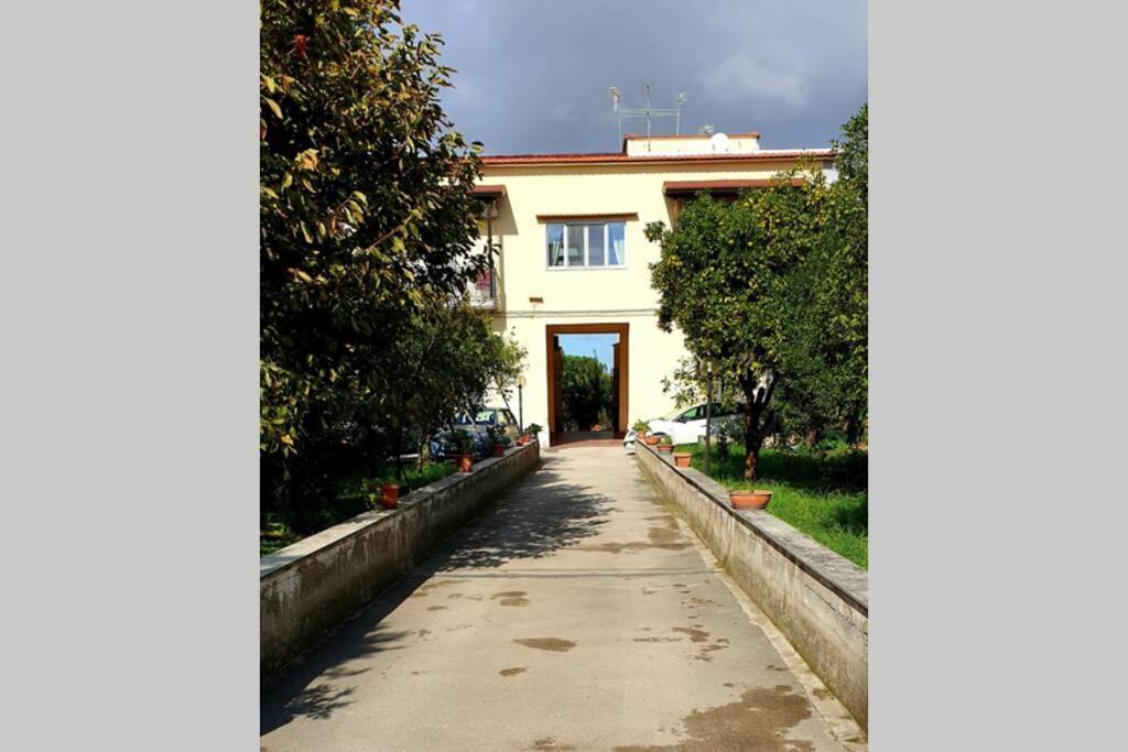Appartamento In Villa Alle Falde Del Vesuvio Nápoles Exterior foto